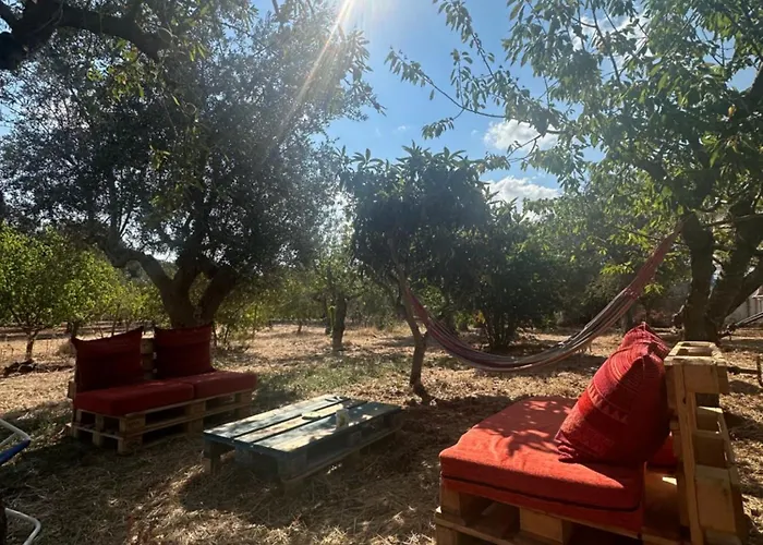 Tiziana מונופולי